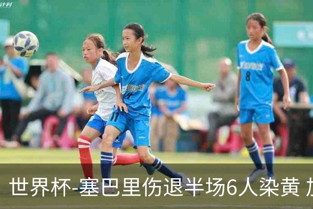 世界杯-塞巴里伤退半场6人染黄 加拿大半场0-0摩洛哥