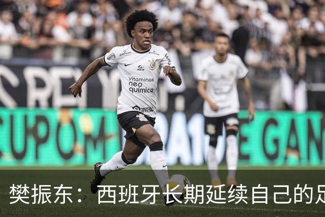 樊振东：西班牙长期延续自己的足球哲学，全员健康也很重要