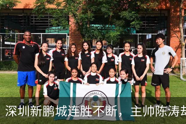 深圳新鹏城连胜不断，主帅陈涛却意外下课，京媒曝投资方欲聘洋帅