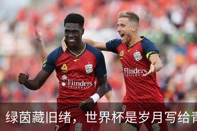 绿茵藏旧绪，世界杯是岁月写给青春的信