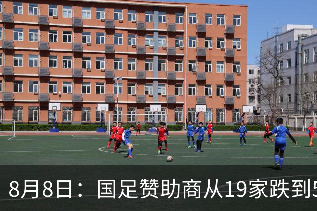 8月8日：国足赞助商从19家跌到5家，董路足球小将球衣却挤下8个Logo？