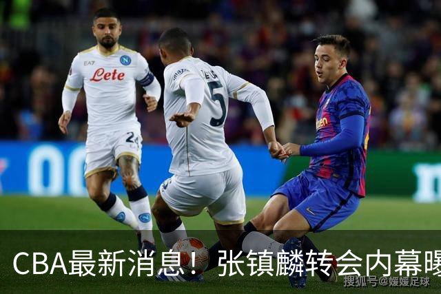 CBA最新消息！张镇麟转会内幕曝光，广东接触区俊炫，杨鸣收到北方球队报价